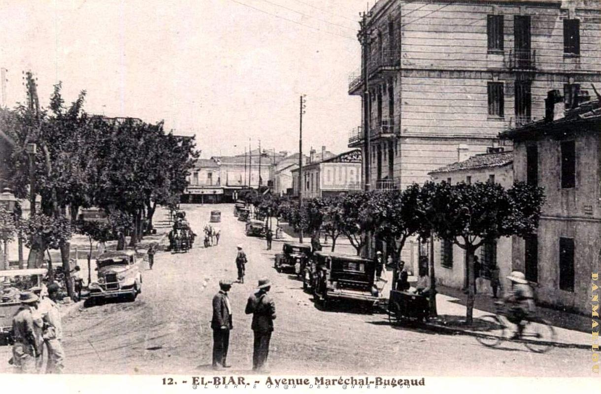 Alger - El-Biar - Avenue du Marechal Bugeaud.jpg